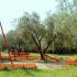 Bianca Villa Studios, private accommodation in city Possidi, Greece