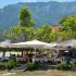 Green Sea Studios and Apartments, Privatunterkunft im Ort Thassos, Griechenland