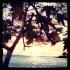 Kiani Akti, private accommodation in city Neos Marmaras, Greece