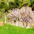 Kiani Akti, private accommodation in city Neos Marmaras, Greece