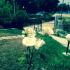 Kiani Akti, private accommodation in city Neos Marmaras, Greece