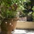 VILA TZIVRAS, private accommodation in city Kefalonia, Greece - VILA TZIVRAS - Kefalonia