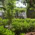 VILA TZIVRAS, private accommodation in city Kefalonia, Greece - VILA TZIVRAS - Kefalonia