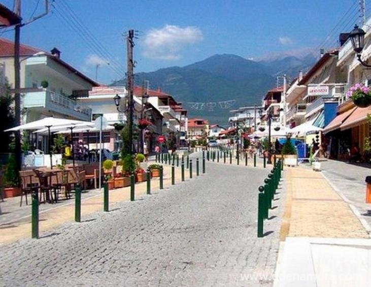 VILA ANTONIO, Leptokaria