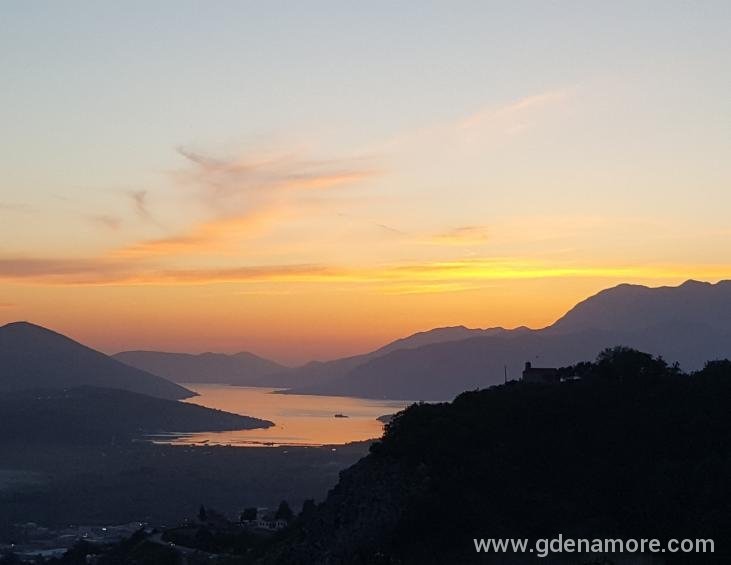 Pogled