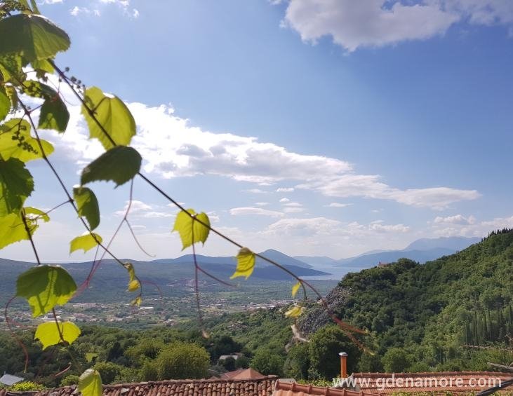 Pogled