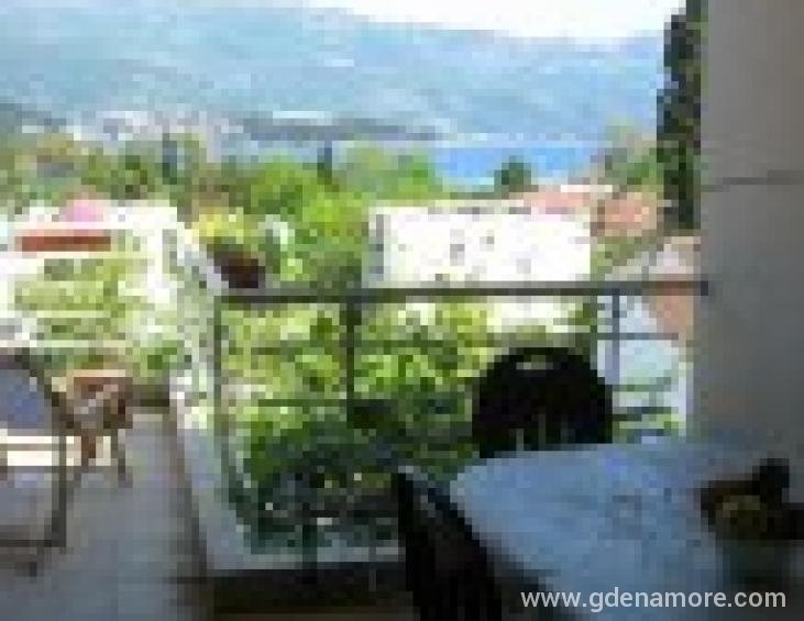 apartman large-terasa