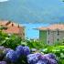 Apartments Risan Center, private accommodation in city Risan, Montenegro