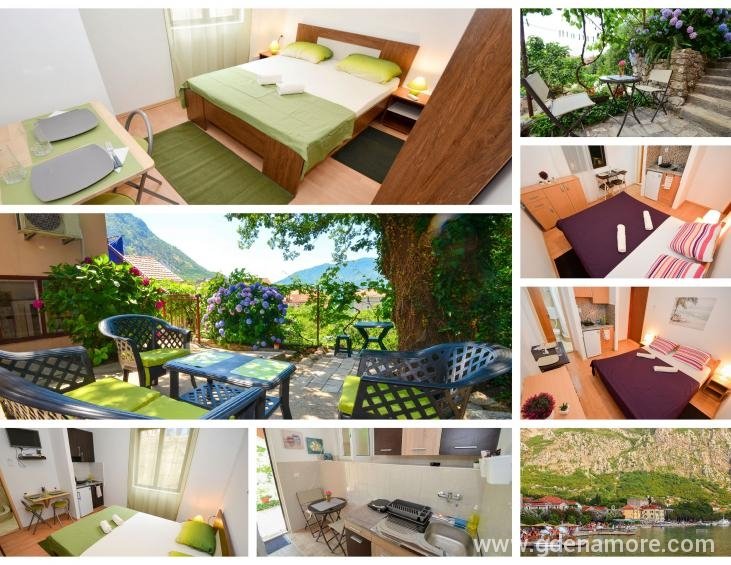 Apartmani Risan Centar