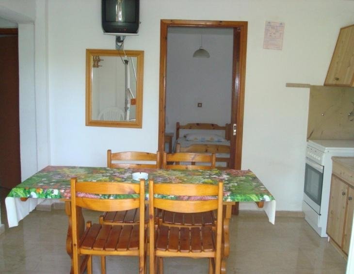 ioanna-villa-nikiti-sithonia-apartment-no-1-kitche