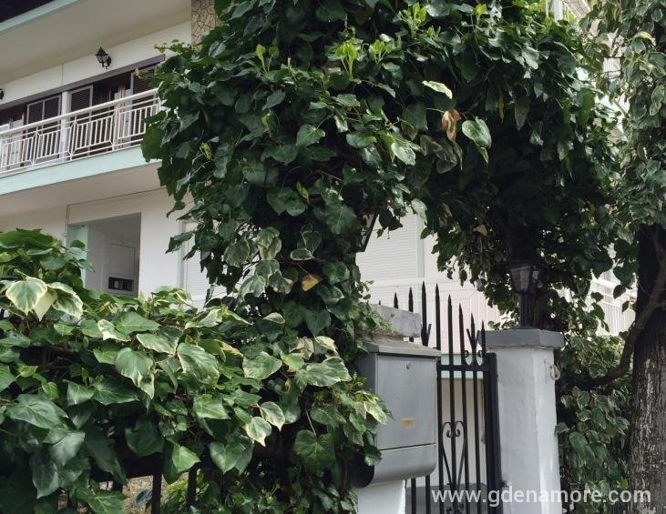 litsa-haus-asprovalta-thessaloniki-18