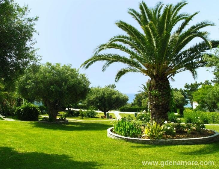 trikorfo-beach-resort-gerakini-sithonia-7