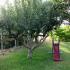 Ioanna Villa Appartements, logement privé à Nikiti, Gr&egrave;ce - villa-ioanna-nikiti-sithonia-halkidiki-7