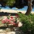 Aiolos Villa, Magán szállás a községben Sithonia, G&ouml;r&ouml;gorsz&aacute;g - aiolos-villa-psakoudia-sithonia-halkidiki-8