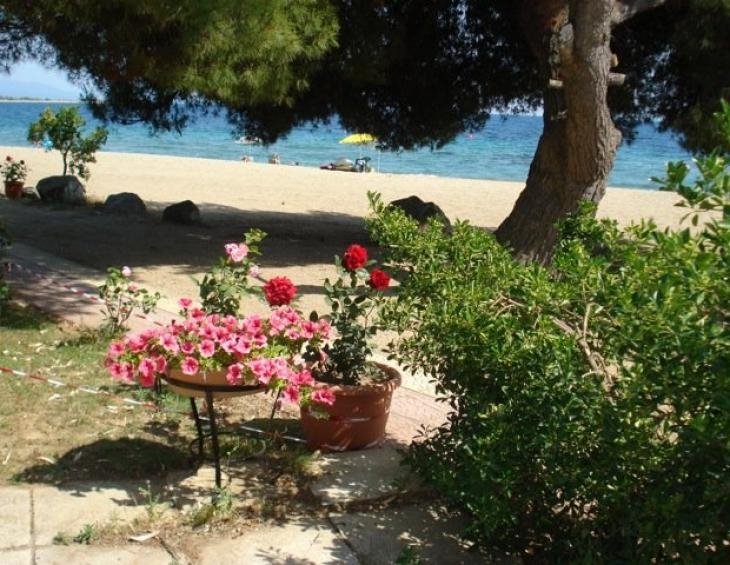 aiolos-villa-psakoudia-sithonia-halkidiki-8