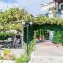 Nastasia Apartments, private accommodation in city Afitos, Greece - nastasia-apartments-outside-afytos-kassandra-chalk
