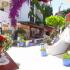 Niko House, private accommodation in city Nea Potidea, Greece - niko-haus-nea-potidea-kassandra-halkidiki-16