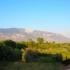 Pernari apartmanok, Magán szállás a községben Kefalonia, G&ouml;r&ouml;gorsz&aacute;g - pernari-apartments-spartia-kefalonia-2