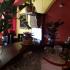 private accommodation Milenko Vujovic, private accommodation in city Budva, Montenegro - 20180314_165038