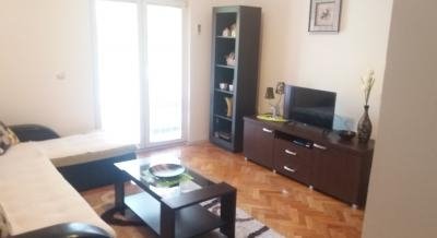 Apartment Dejan, private accommodation in city Budva, Montenegro