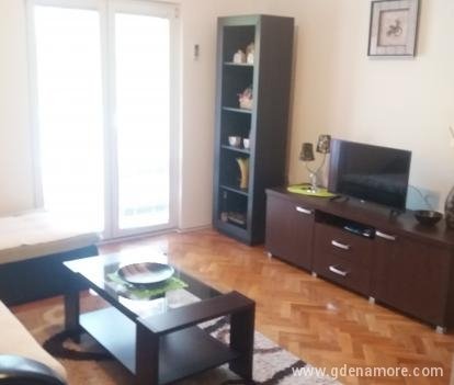 Διαμέρισμα Dejan, ενοικιαζόμενα δωμάτια στο μέρος Budva, Montenegro