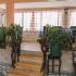 Apartmani Martinović, privatni smeštaj u mestu Dobre Vode, Crna Gora - Apartmani_Martinovic_98