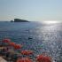 Apartments Tina, private accommodation in city Utjeha, Montenegro - 20180726_170343