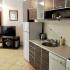 Apartmani Vojvodic-Nautica, privatni smeštaj u mestu Djenović, Crna Gora - 07873D17-B4AB-4400-B5BF-C87971DD3DC1