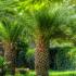 Aneton Hotel, privatni smeštaj u mestu Tasos, Grčka - aneton-hotel-golden-beach-thassos-12
