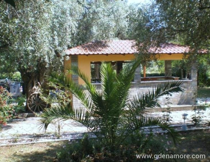 aneton-hotel-golden-beach-thassos-15