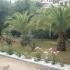 Aneton Hotel, privatni smeštaj u mestu Tasos, Grčka - aneton-hotel-golden-beach-thassos-8