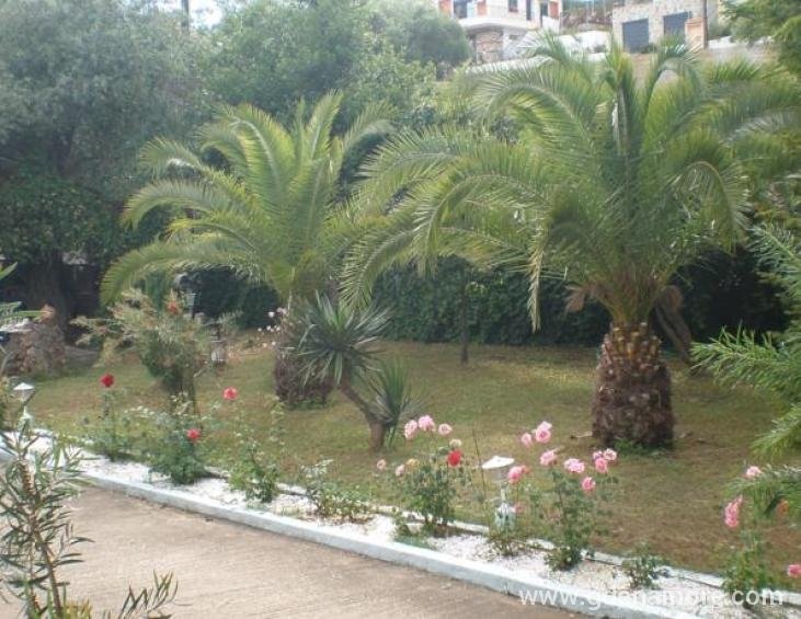 aneton-hotel-golden-beach-thassos-8