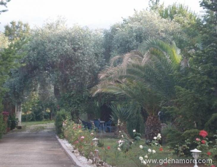 aneton-hotel-golden-beach-thassos-9