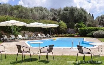 Dendrolivano Studios and Apartments, private accommodation in city Kefalonia, Greece