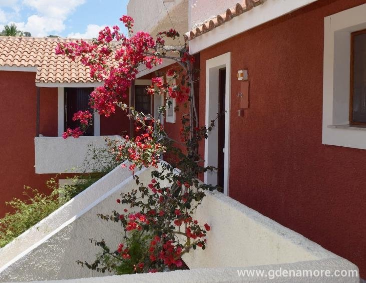 dendrolivano-studios-and-apartmens-minia-kefalonia
