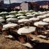 Estudios y apartamentos Odyssea, alojamiento privado en Thessaloniki, Grecia - odyssea-studios-and-apts-paralia-vrasna-thessaloni