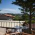 Olive Grove Studios and Apartment, private accommodation in city Kefalonia, Greece - olive-grove-studios-and-apartments-svoronata-kefal