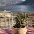 Apartman Milan, privatni smeštaj u mestu Orahovac, Crna Gora - 1E2FDCAF-E17B-4824-9B36-7CE4B9758D02