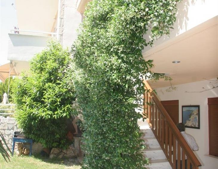 erifili-house-kallithea-kassandra-halkidiki-12