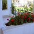 Estudio Rappos, alojamiento privado en Kallithea, Grecia - rappos-studios-kallithea-kasandra-9
