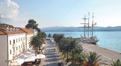 Mohnblumen, Privatunterkunft im Ort Tivat, Montenegro