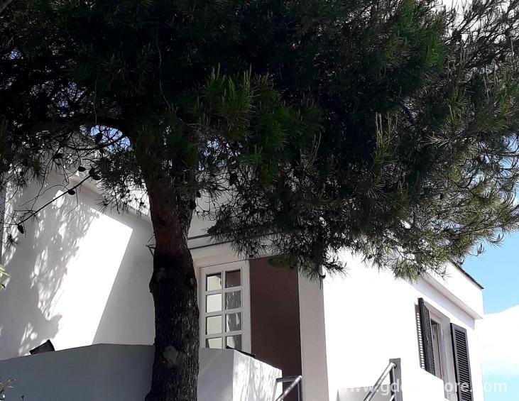 20190530_101614