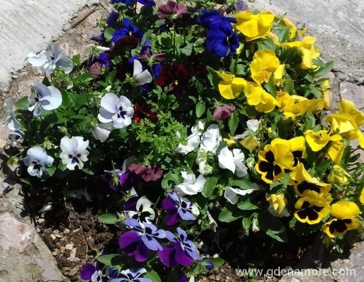 viber_image_2019-06-15_12-52-594