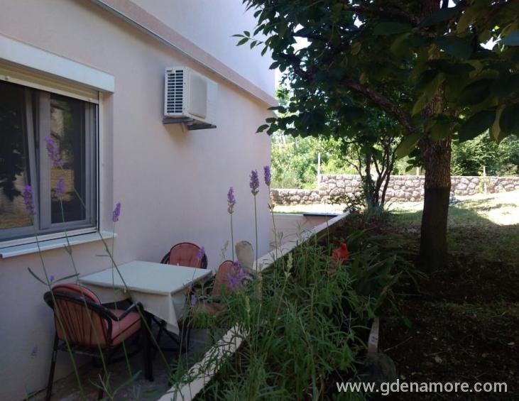 APARTMAN PRIZEMLJE