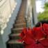 Sobe,Apartmani, privatni smeštaj u mestu Sutomore, Crna Gora - F91A5F8A-F472-4511-97AD-26C6EB1B51C9