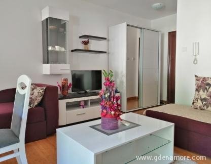Apartment Milica, private accommodation in city Budva, Montenegro - IMG-040b48f133758c1b7183ddcaba4f8cf1-V