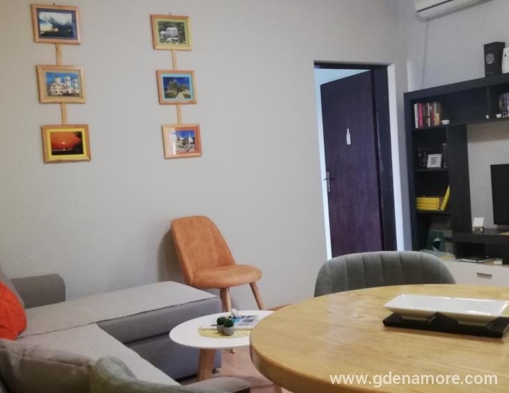 APARTMAN PRIZEMLJE