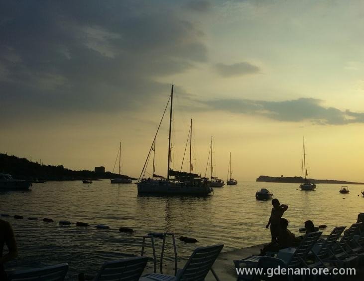 IMG-a214a91dd851de7060a487f3e310f085-V