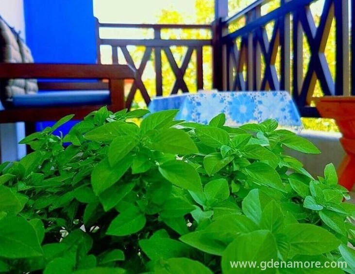 anastasia-pansion-ammouliani-athos-2-bed-room-1