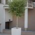 Ville di lusso Corali, alloggi privati a Ierissos, Grecia - corali-luxury-villas-ierissos-athos-12